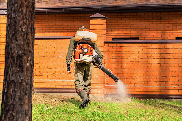 Trusted Emergency Pest Control service in Ocean Grove, MA - Nex Pest Control